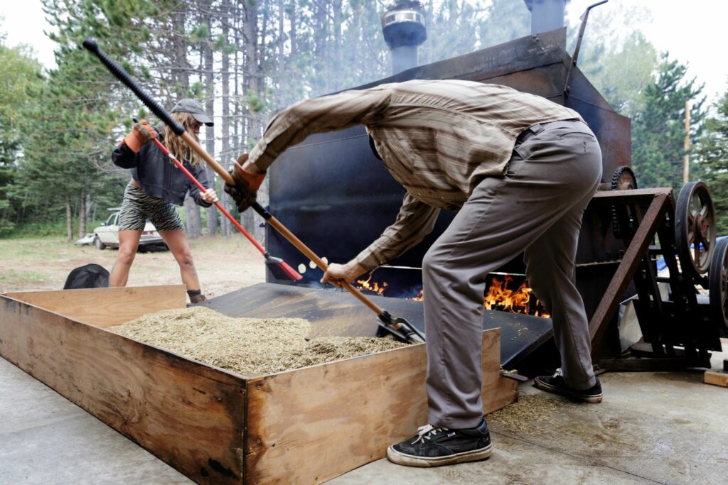 People sweeping rice into machine.